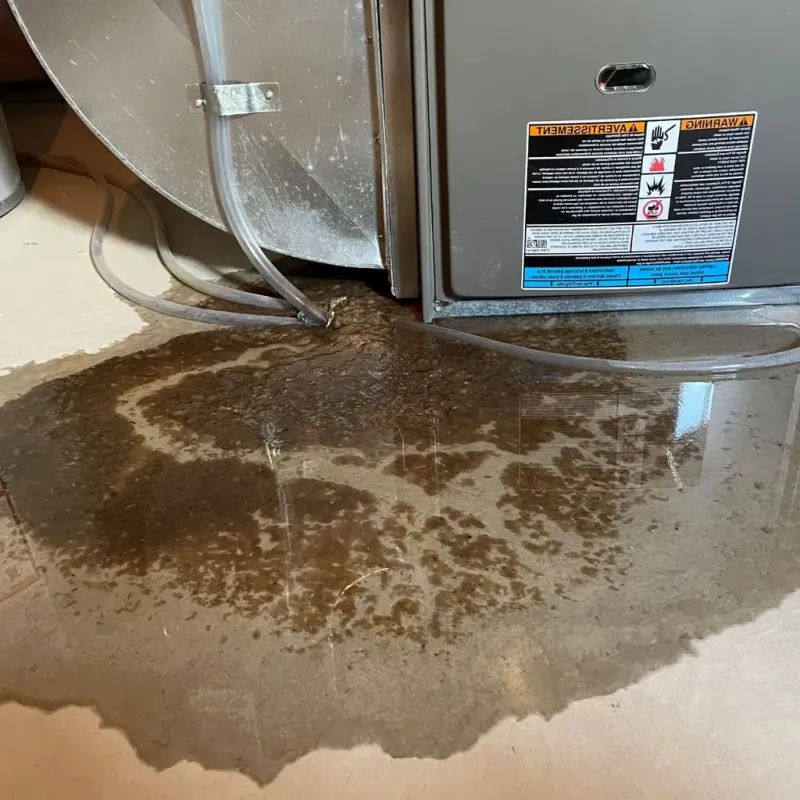 Pipe Burst and Leak Restoration in Manhattan, KS